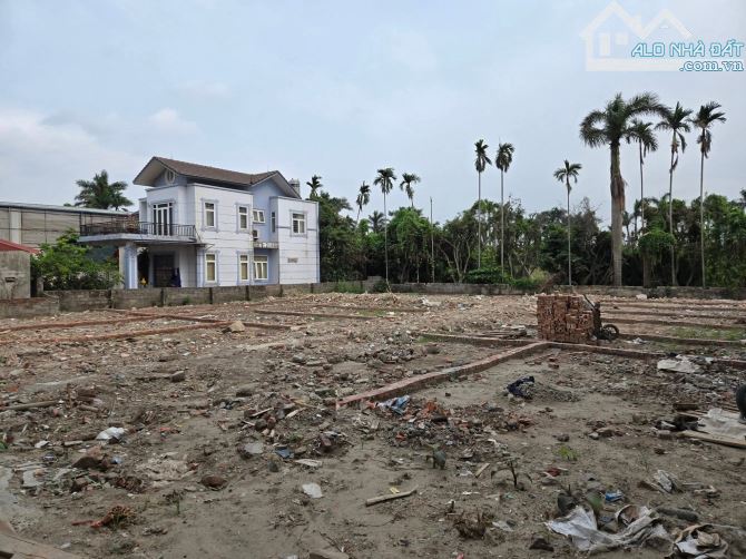 Bán đất bạt to 771m2 phân sẵn 18 lô có bìa riêng, giá 17 tỷ, hồng bàng, hải phòng - 1