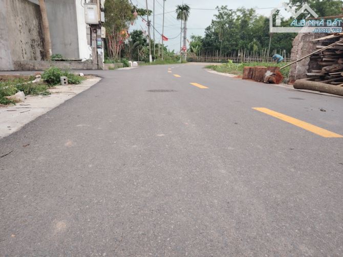 Phân lô, vỉa hè, kinh doanh ô tô tránh. DT 10x20, Full thổ cư, 3x tỷ. - 1