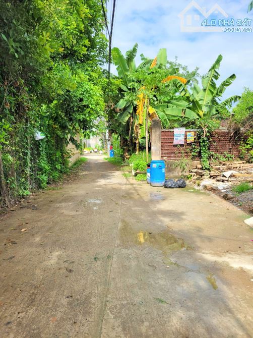 2,1Tỷ TL🔥Bán đất 120,7m2 Cách đường Bùi Hữu Nghĩa 100m, p.Tân Hạnh, Tp.Biên Hòa - 1