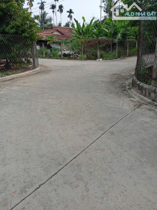 BÁN VƯỜN TRÁI CÂY MT BÊ TÔNG, P.TÂN AN, TP.TDM, DT:29x31, NỞ HẬU 30M, TC100M2, SHR, 7,6 TỶ - 1