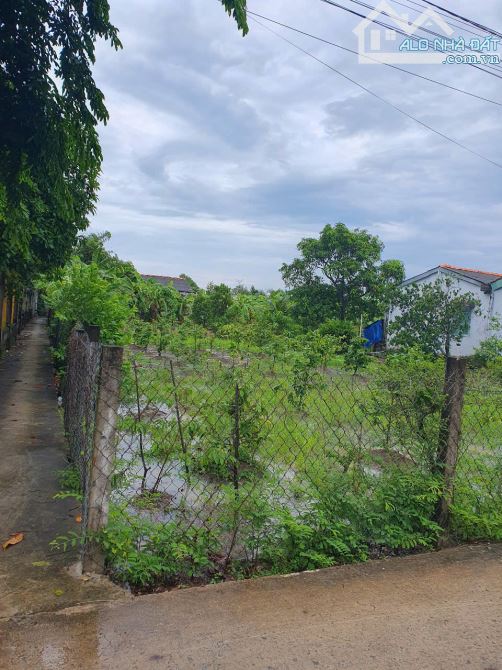 nền thổ cư ấp 1B xã Tân Trạch cách tỉnh lộ 833 khoảng 200m - 1