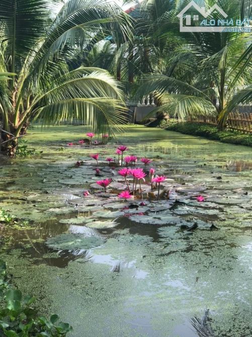 CẦN BÁN LÔ ĐẤT VIEW KÊNH THOÁNG MÁT 20M x 112 - TỈNH LỘ 15 CỦ CHI - CẦU XÁNG - CHỈ 15 TỶ - 16