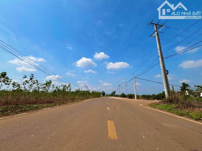 💥 Đầu Tư Ngay Kẻo Lỡ – 500m² Giá Cực Rẻ Ven Đà Lạt, Sổ Hồng Riêng - 2