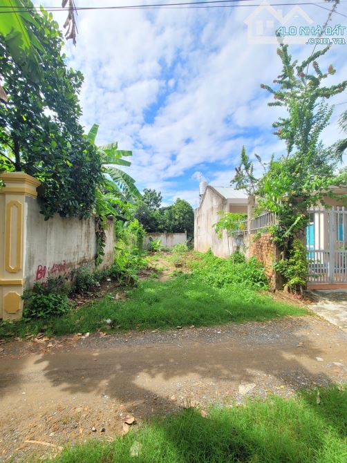 2,1Tỷ TL🔥Bán đất 120,7m2 Cách đường Bùi Hữu Nghĩa 100m, p.Tân Hạnh, Tp.Biên Hòa - 2