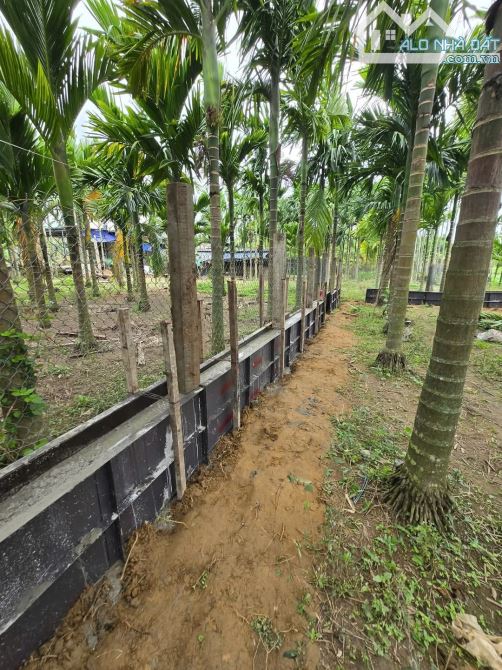 Bán lô đất đẹp 6x17m (100m2) đường rộng 6m Ôtô thông, Thị trấn Chợ Chùa Nghĩa Hành - 1