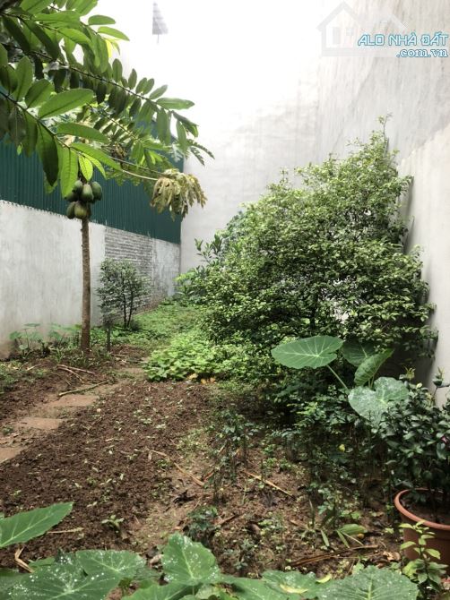 Bán đất Tư Đình cực hiếm, Ô Tô, Diện tích 75 m2, mặt tiền 5m, giá chỉ 9.7 tỷ. - 2