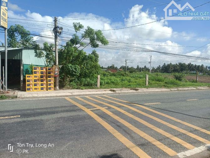 5×40 thổ mặt tiền nhựa 12m huỳnh văn đảnh đối Diện trường học đức tân_tân trụ 1,5 tỷ ngộp - 3