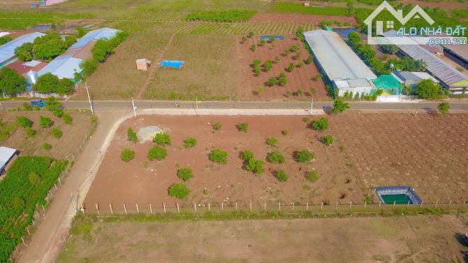 💥 Đầu Tư Ngay Kẻo Lỡ – 500m² Giá Cực Rẻ Ven Đà Lạt, Sổ Hồng Riêng - 3