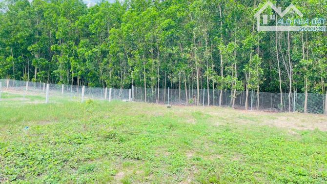 BÁN LÔ ĐẤT VƯỜN - ĐÃ VÂY RÀO KIÊN CỐ , NGANG 17M SÂU 54M VUÔNG ĐẸP - HUYỆN LONG ĐẤT - 4