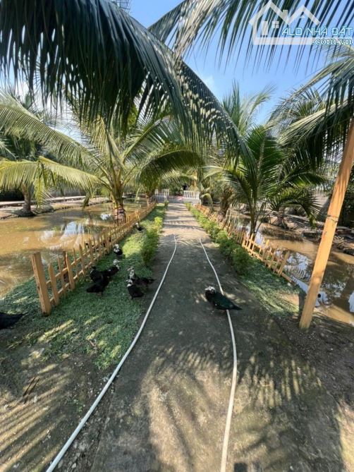 CẦN BÁN LÔ ĐẤT VIEW KÊNH THOÁNG MÁT 20M x 112 - TỈNH LỘ 15 CỦ CHI - CẦU XÁNG - CHỈ 15 TỶ - 5
