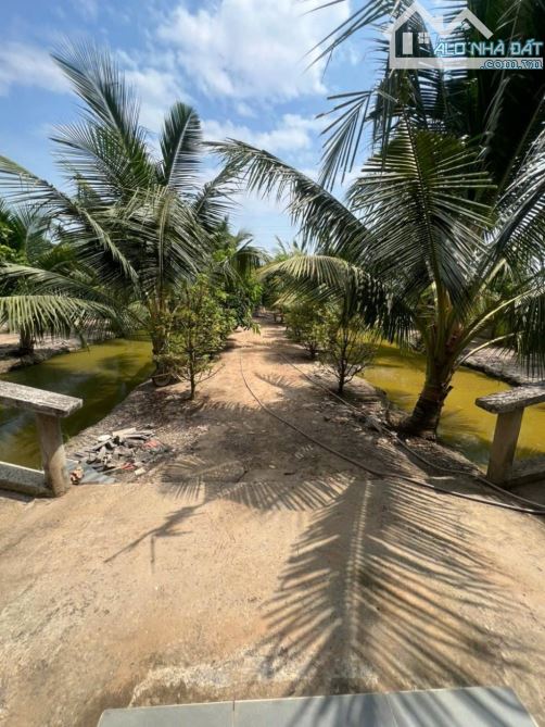 CẦN BÁN LÔ ĐẤT VIEW KÊNH THOÁNG MÁT 20M x 112 - TỈNH LỘ 15 CỦ CHI - CẦU XÁNG - CHỈ 15 TỶ - 6