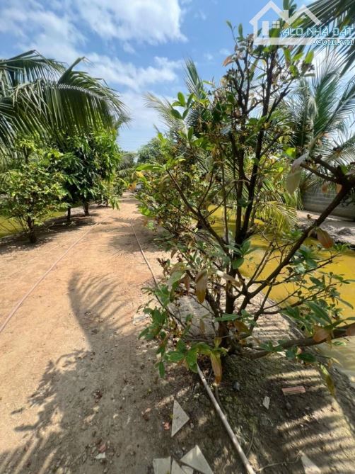 CẦN BÁN LÔ ĐẤT VIEW KÊNH THOÁNG MÁT 20M x 112 - TỈNH LỘ 15 CỦ CHI - CẦU XÁNG - CHỈ 15 TỶ - 8