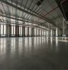 Nhà xưởng mới xây dựng 12000m2 cần cho thuê trong KCN Thuận Thành, pccc tiêu chuẩn, miễn g