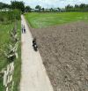 133m2 thổ đường Nguyễn thành lập Quê Mỹ thạnh_Tân trụ_Long An 545 triệu rẻ ngộp