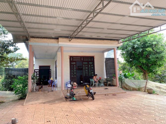 Bán khoảng 4 sào 6 (4647m2) đất Xà Bang, huyện Châu Đức, BRVT.
