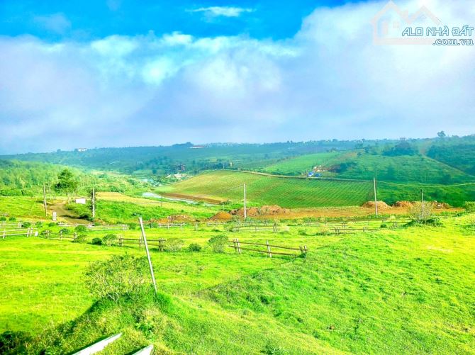 200m2 đất Bảo Lộc giá 2,3 tỷ tặng kèm nhà phi thuyền