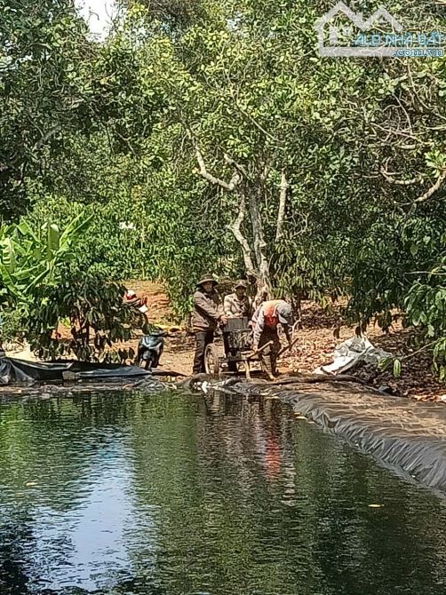 cần bán 2,3 ha cà phê bám 150m đường bê tông tại Đăk Nông