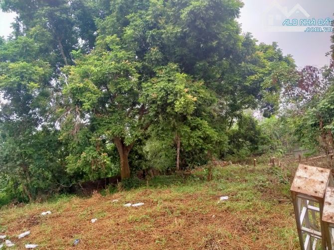 BÁN ĐẤT THỊ TRẤN LƯƠNG SƠN 1143M2 MẶT ĐƯỜNG NHỰA ,CÁCH HN 30KM GIÁ RẺ