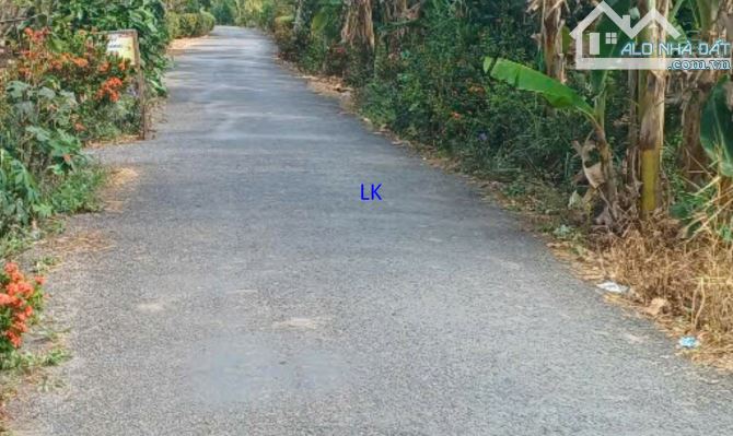 🔰 Bán nền: 850m²(Mặt tiền 12m, thổ 150m², còn lại đất lúa) 🔰 Đường nhựa 3.5m, xã Mỹ Quý,