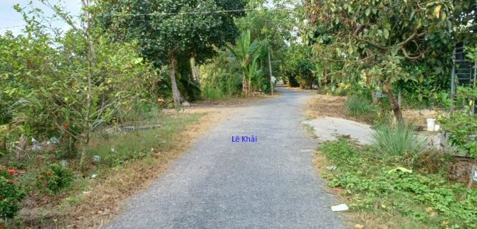 🔰 Bán vườn xoài: 1.950m²(26m x 80m, đất lúa) 🔰 Đường nhựa 3.5m, TT Mỹ Thọ.