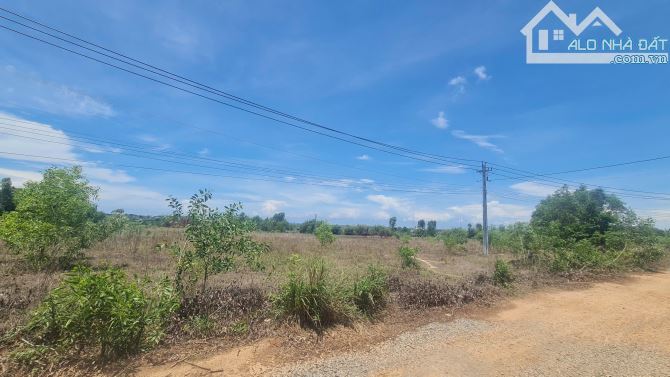 bán đất 15000m2 mặt tiền nguyễn minh châu, tân tiến, thị xã lagi, bình thuận. giá ngợp