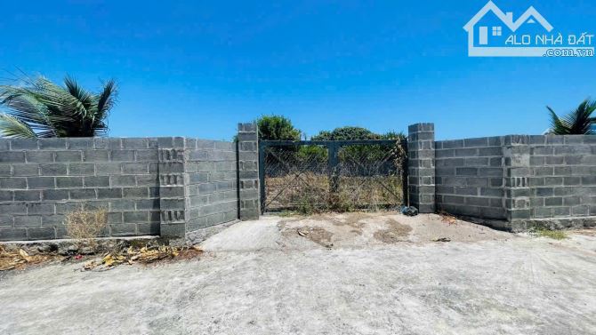 👉👉👉VIEW LÚA CỰC ĐẸP TRUNG TÂM THỊ TRẤN PHƯỚC HẢI - CÁCH BIỂN 1KM
