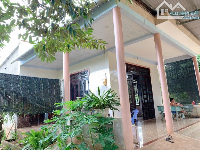 Bán khoảng 4 sào 6 (4647m2) đất Xà Bang, huyện Châu Đức, BRVT. - 1