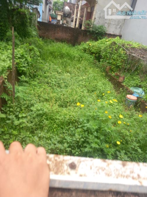 BÁN ĐẤT CỔ ĐIỂN . TỨ HIỆP . Ô TÔ TRÁNH . DT 60 M. GIÁ 8,7  TỶ . MUA NHANH - 1