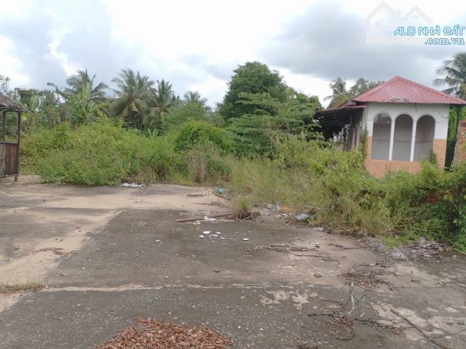 Bán 3500m Đất Nhà Mặt TiềnQL1A,Cách Ngã 4 Đồng Tâm 4km,Châu Thành, TG - 1