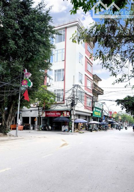 Đông Anh,xã Bắc Hồng 90m mặt tiền 5,6m đường thông ô tô tránh,trục kinh doanh - 1