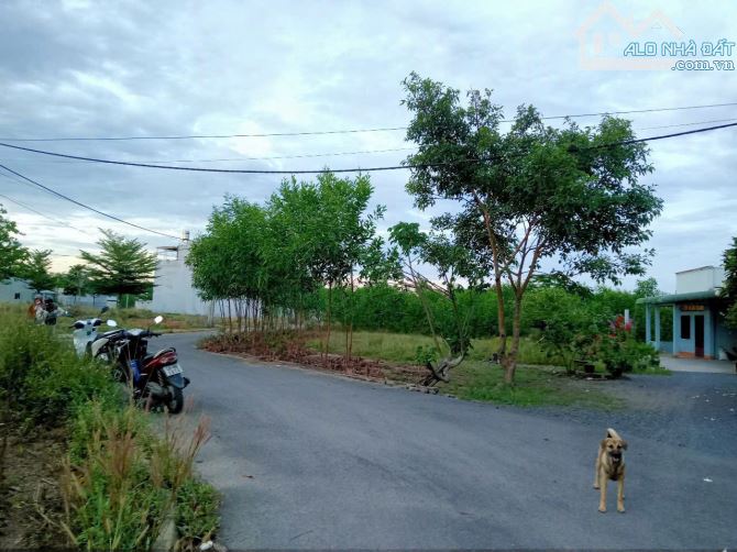 Lô đất 773m2 thổ cư. Ngay KDC, ngang 14m dài 61m, An Viễn, Trảng Bom. 2.55 tỷ - 1