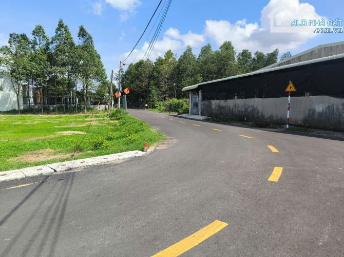 Bán 155m2(5x31m) thổ cư TP.Phú Mỹ - 1