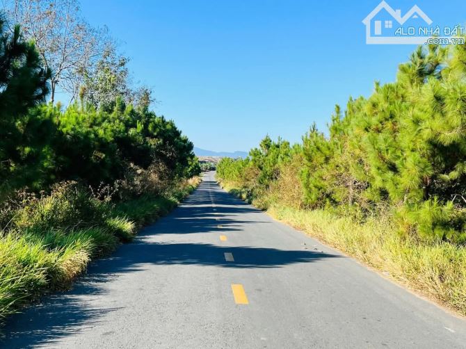 Cần bán 3700m2 view đẹp xã ninh gia giá siêu tốt - 1