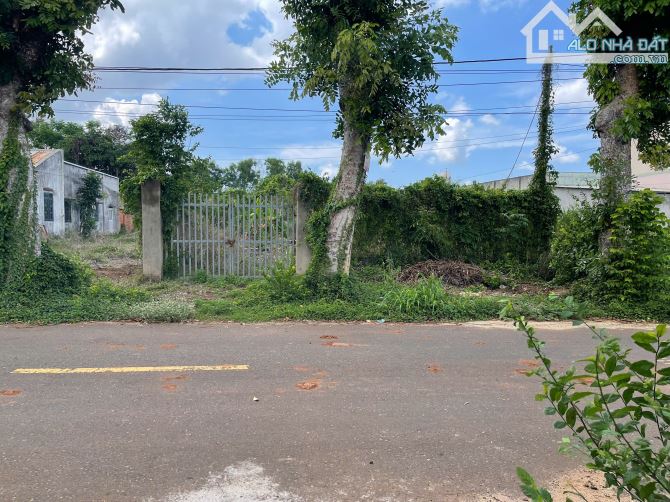 CẦN BÁN LÔ ĐẤT VƯỜN 553m² TẠI XÃ HÒA LONG, TP. BÀ RỊA - VŨNG TÀU - 1