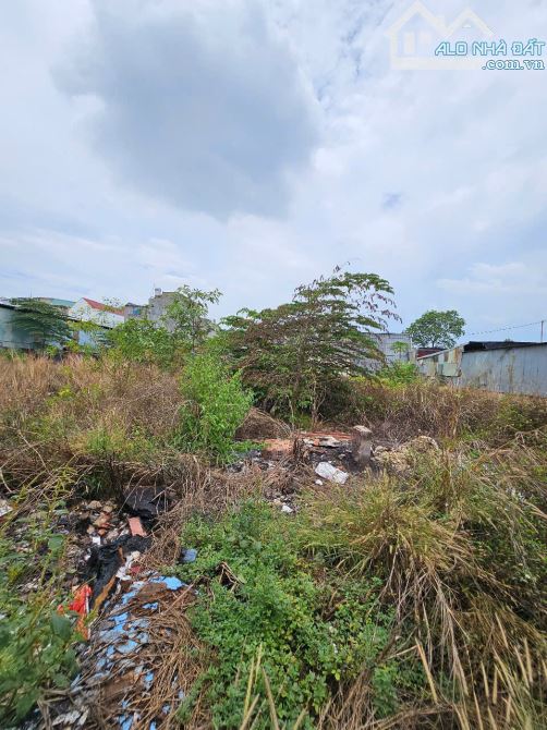 Đất rộng gần ngã tư Chiêu Liêu, phường Tân Đông Hiệp thành phố Dĩ An. 22,3 tỷ - 1