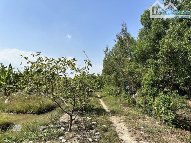 Bán đất vườn Kênh 10, Xã Lê Minh Xuân Bình Chánh - 1