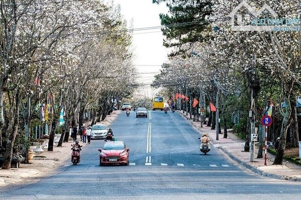 MT Quang Trung đường Hoa Ban đẹp nhất ĐL, Cạnh Ga Đà Lạt & Mercure Resort, MT rộng - 1