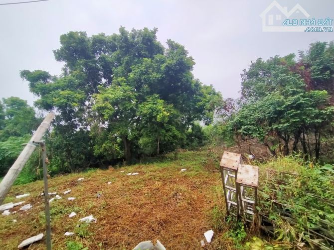 BÁN ĐẤT THỊ TRẤN LƯƠNG SƠN 1143M2 MẶT ĐƯỜNG NHỰA ,CÁCH HN 30KM GIÁ RẺ - 1