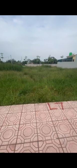 bán nhanh đất Tdc Tây Tiến,Tiền Hải - 2