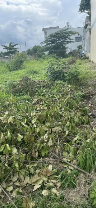 Giá 8,5 tỷ. Bán lô biệt thự 528m mặt tiền đường Huỳnh Mẫn Dạt- P. Hoá An. Sổ thổ cư. - 2