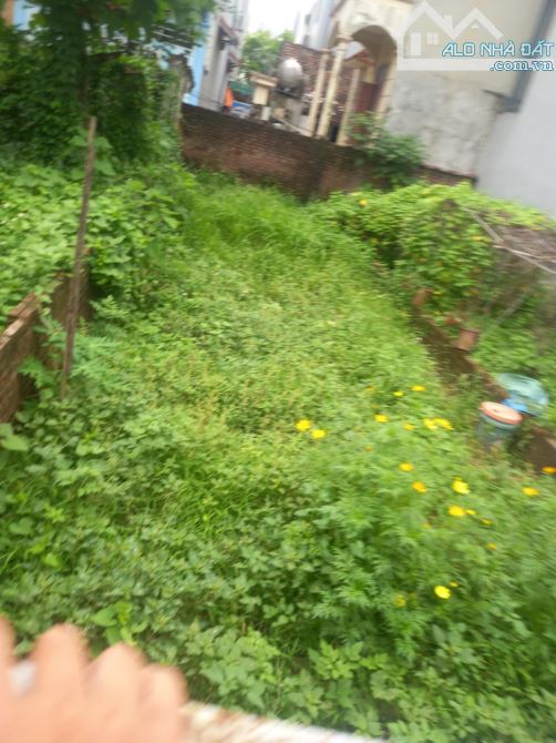 BÁN ĐẤT CỔ ĐIỂN . TỨ HIỆP . Ô TÔ TRÁNH . DT 60 M. GIÁ 8,7  TỶ . MUA NHANH - 2