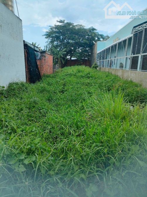 BÁN LÔ ĐẤT XÂY TRỌ 315M2- GẦN TRUNG TÂM THỊ TRẤN ĐỨC HÒA -LONG AN - 2