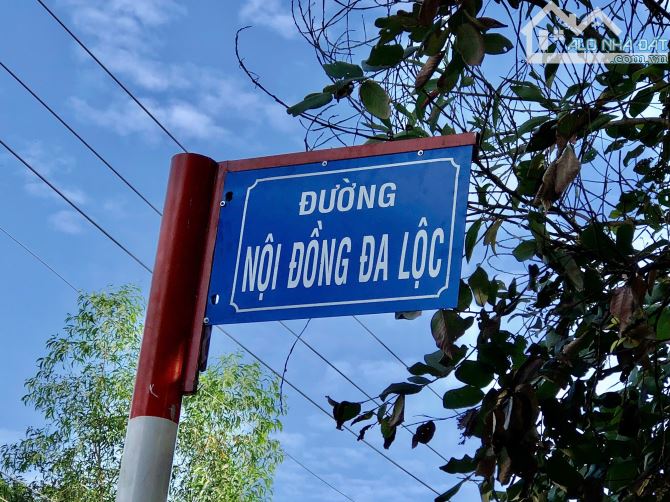 1608M² VIEW SÔNG BÌNH LỢI - VĨNH CỬU - 2