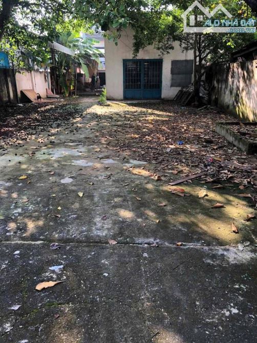 Bán Đất DT 900M2 KP5 P. Trảng Dài, gần Chợ Phú Thọ, Cầu Săn Máu, cách Nguyễn Ái Quốc 200M - 2