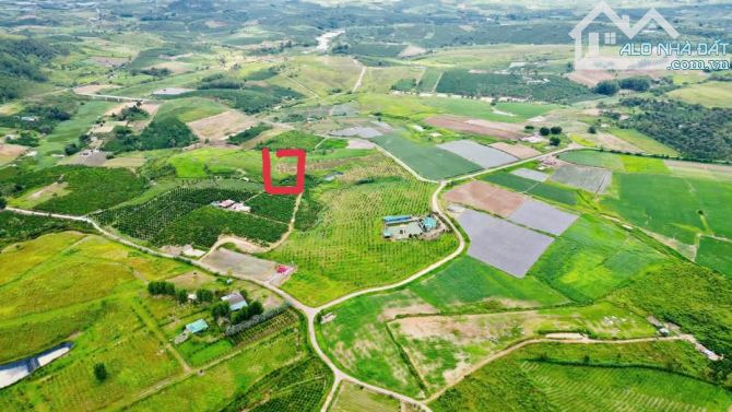 Cần bán 3700m2 view đẹp xã ninh gia giá siêu tốt - 2