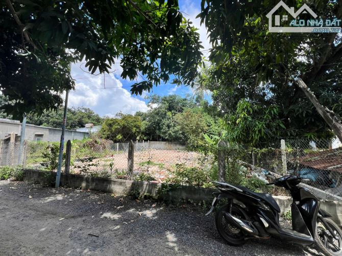 12m Ngang Cam Hoà Quy Hoạch An Toàn - 2