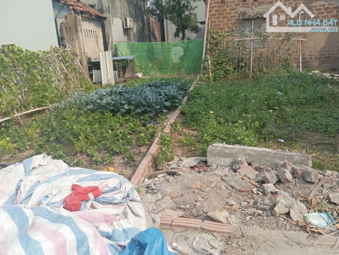 Chính chủ bán đất Thọ An 44.5 m2 ô tô cách 20 m đỗ cả ngày lẫn đêm giá 2.1 tỷ. - 2