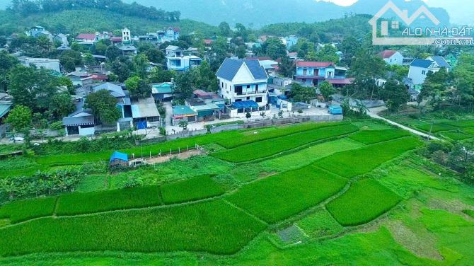 300m Full Đất ở Đô Thị - View Cánh Đồng -  Nhà Đẹp Chỉ VIệc Về Ở - Đất Thị Trấn Bo Kim Bôi - 2