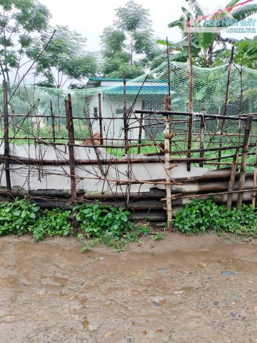 100m Full Đất Ở Đô Thị - Mặt Tiền 7m Vuông Vắn - Sẵn Nhà Cấp 4 - Gần Bến Xe Kim Bôi - 2