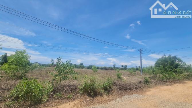 bán đất 15000m2 mặt tiền nguyễn minh châu, tân tiến, thị xã lagi, bình thuận. giá ngợp - 2